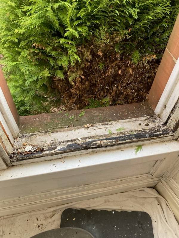 Window Sill Replacement  Main Photo